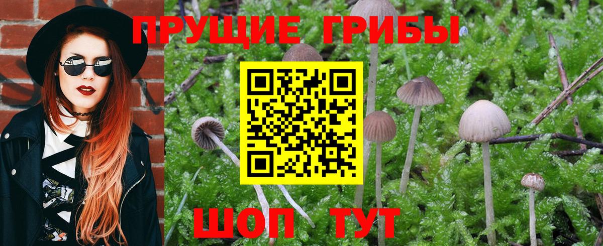 Псилоцибиновые грибы мухоморы  Артёмовский 