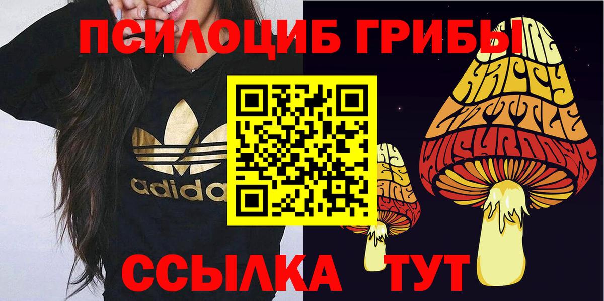 Псилоцибиновые грибы Cubensis Артёмовский