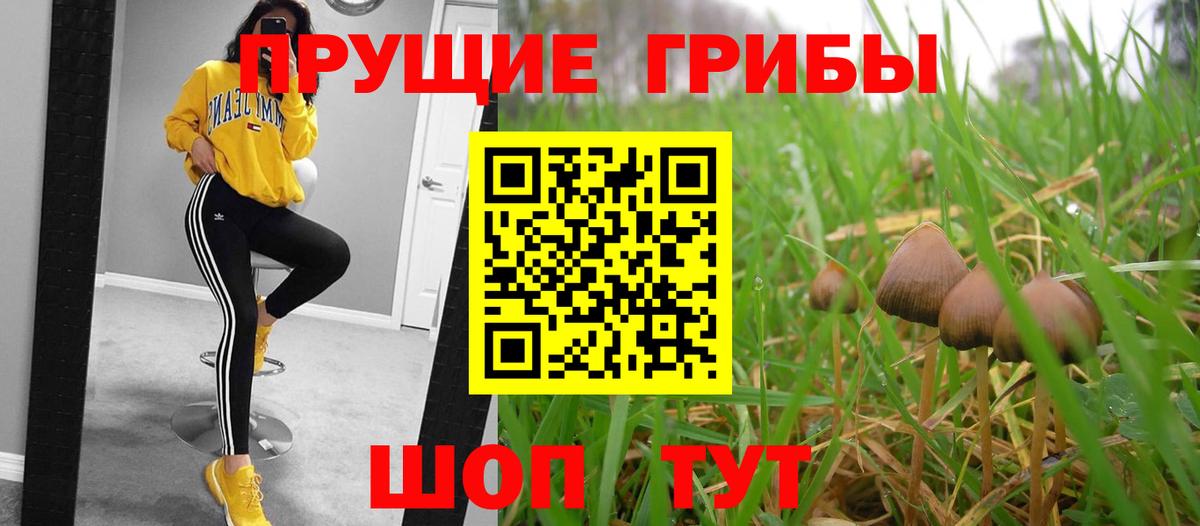 Галлюциногенные грибы GOLDEN TEACHER  Галлюциногенные грибы мицелий  Артёмовский  Вход с VPN 